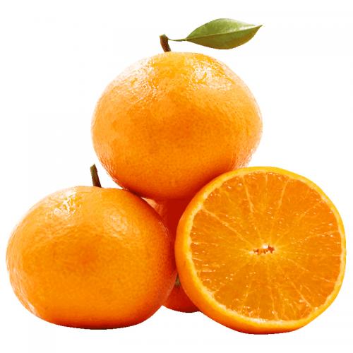 赣南脐橙 标准果