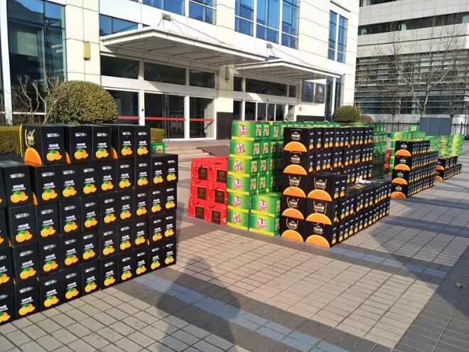 1517990770183145.jpg 1517990770183145.jpg