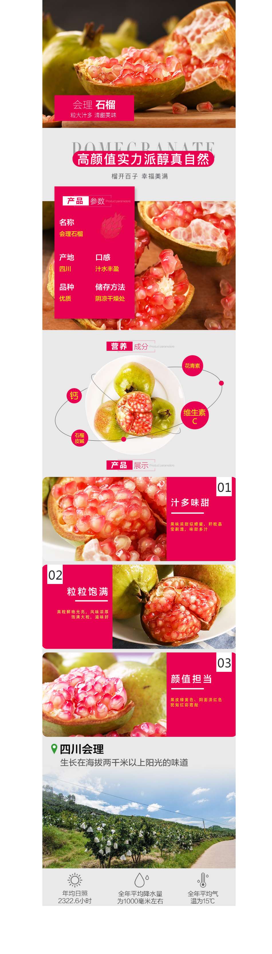 四川会理石榴.jpg
